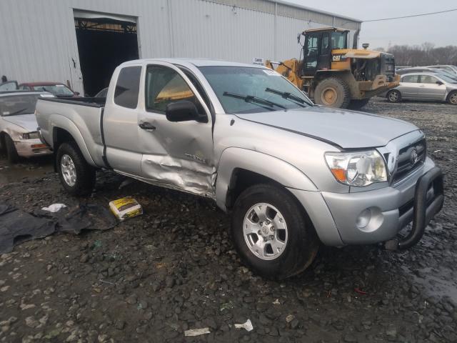 Toyota Tacoma acc (2010)