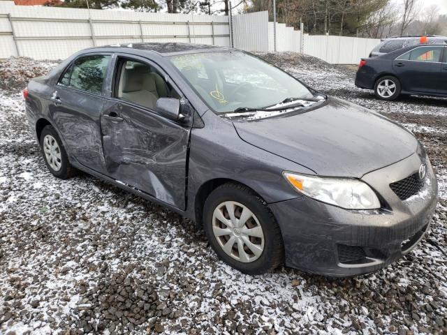Toyota Corolla ba (2010)