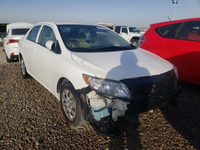 Toyota Corolla ba (2010)