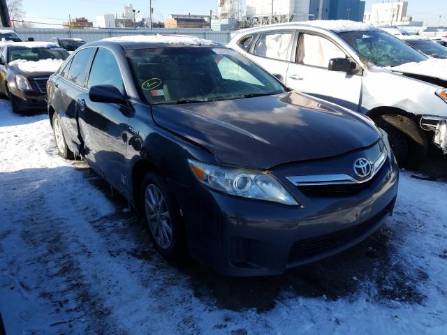 Toyota Camry hybr (2010)