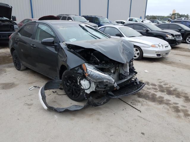 Toyota Corolla l (2019)