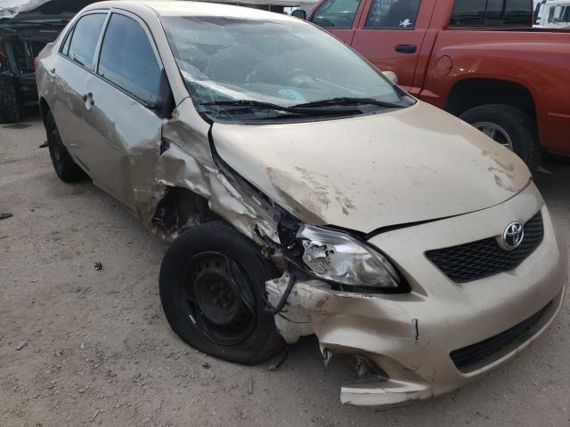 Toyota Corolla ba (2010)