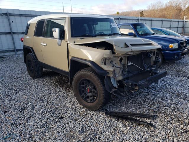 Toyota Fj cruiser (2014)