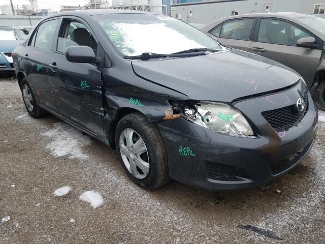 Toyota Corolla ba (2010)
