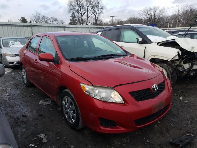 Toyota Corolla ba (2010)