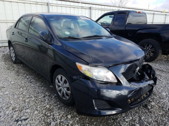 Toyota Corolla ba (2010)