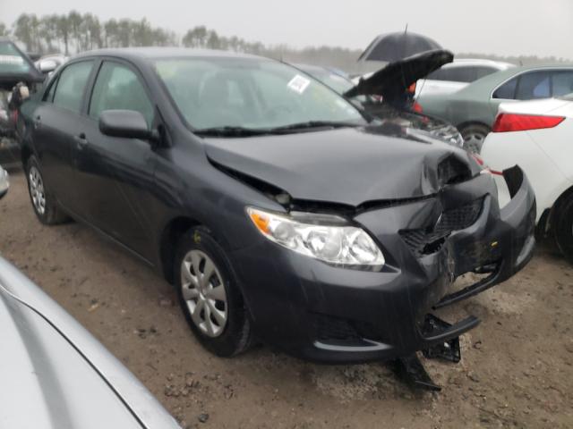 Toyota Corolla ba (2010)