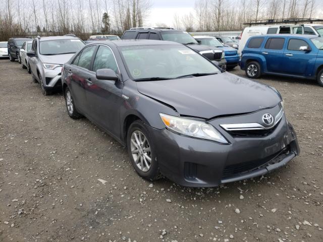 Toyota Camry hybr (2010)
