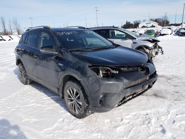 Toyota Rav4 hv xl (2016)