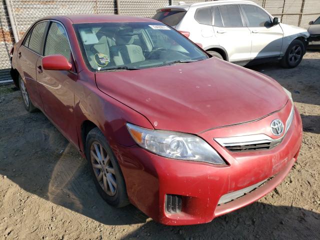 Toyota Camry hybr (2010)