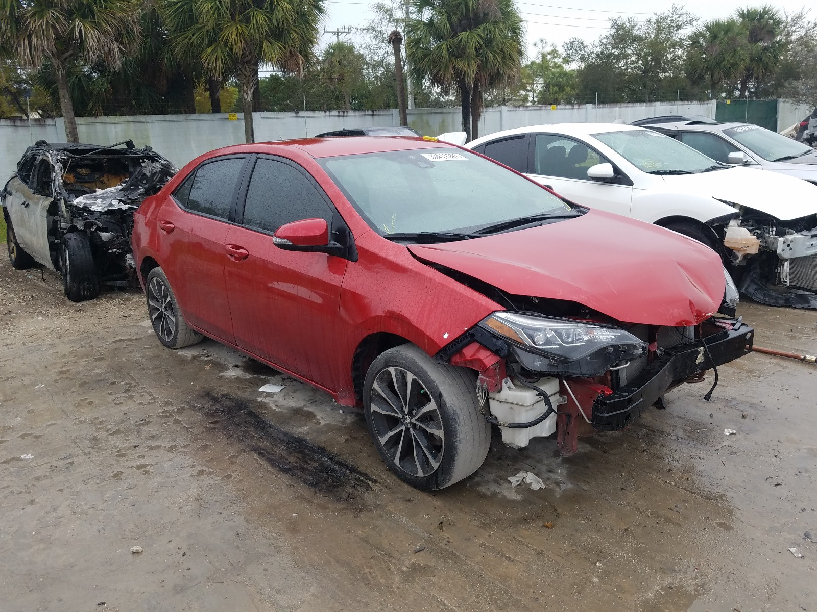 Toyota Corolla l (2019)